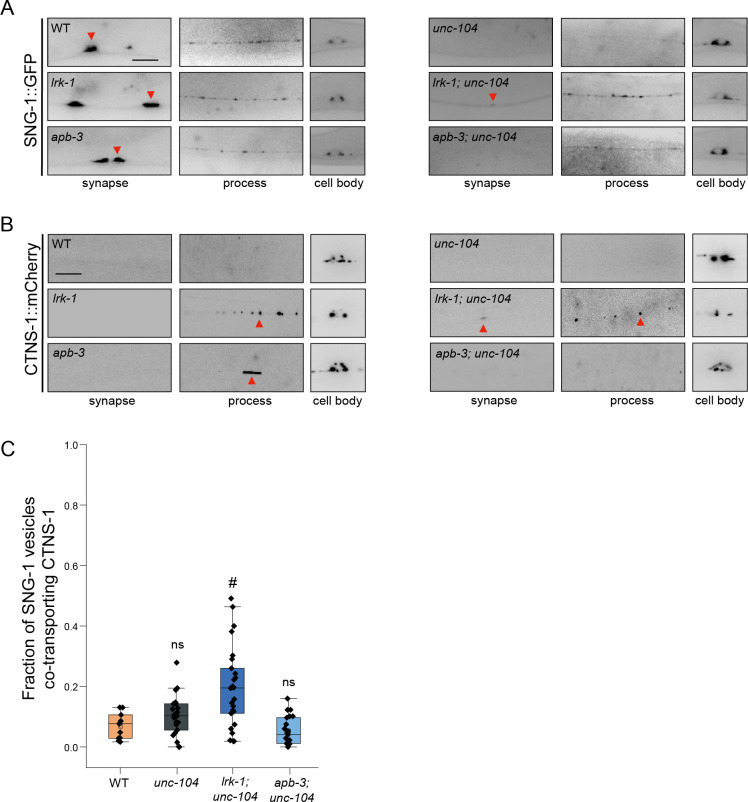 Fig 3