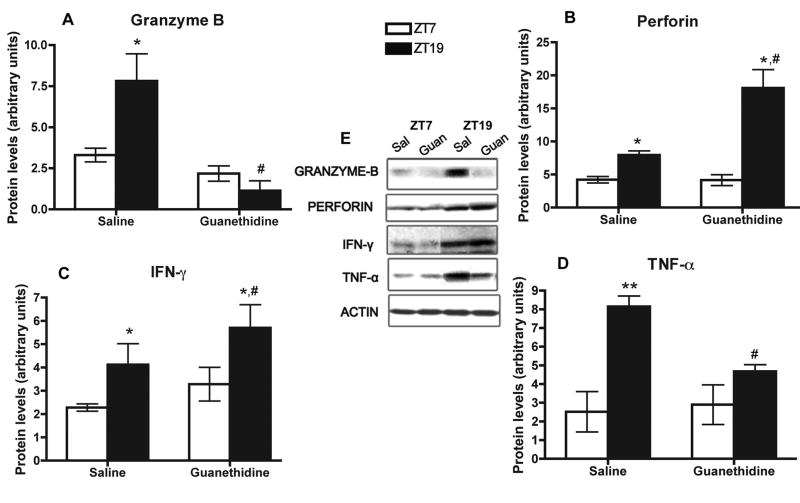 Fig. 4