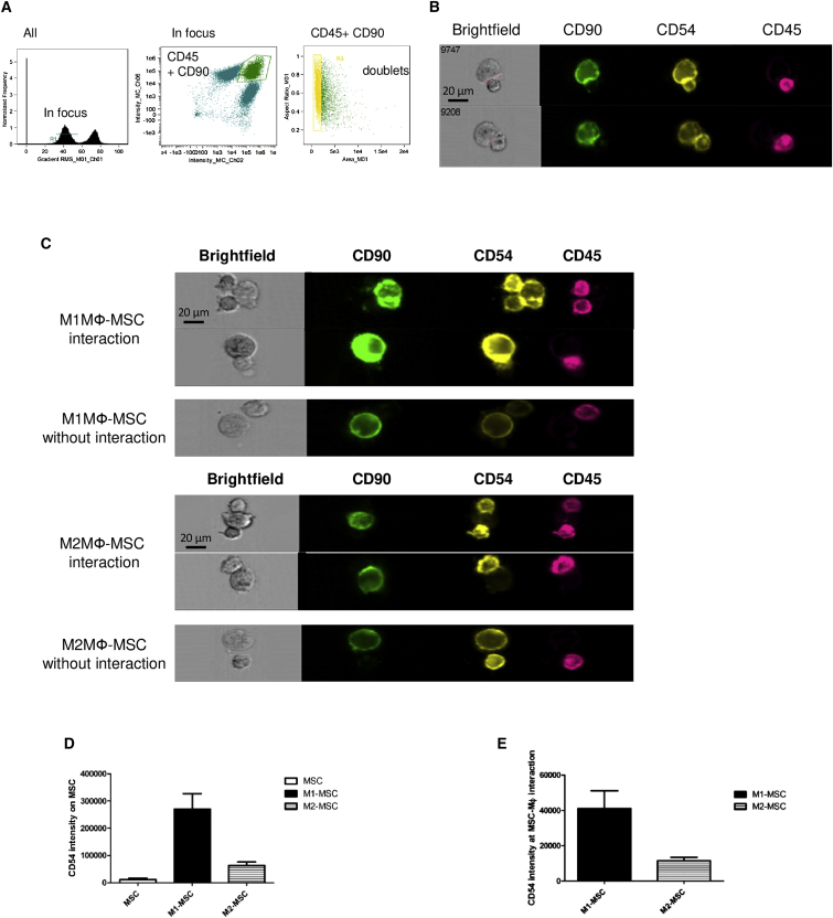 Figure 4