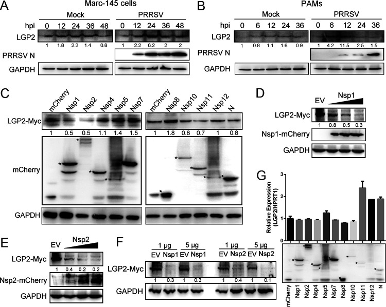 FIG 6