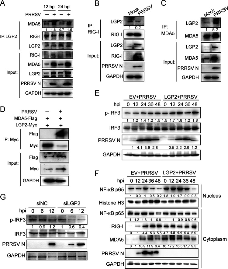 FIG 3