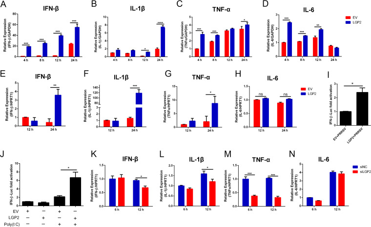 FIG 2