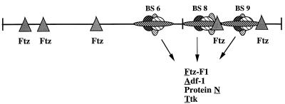 FIG. 7