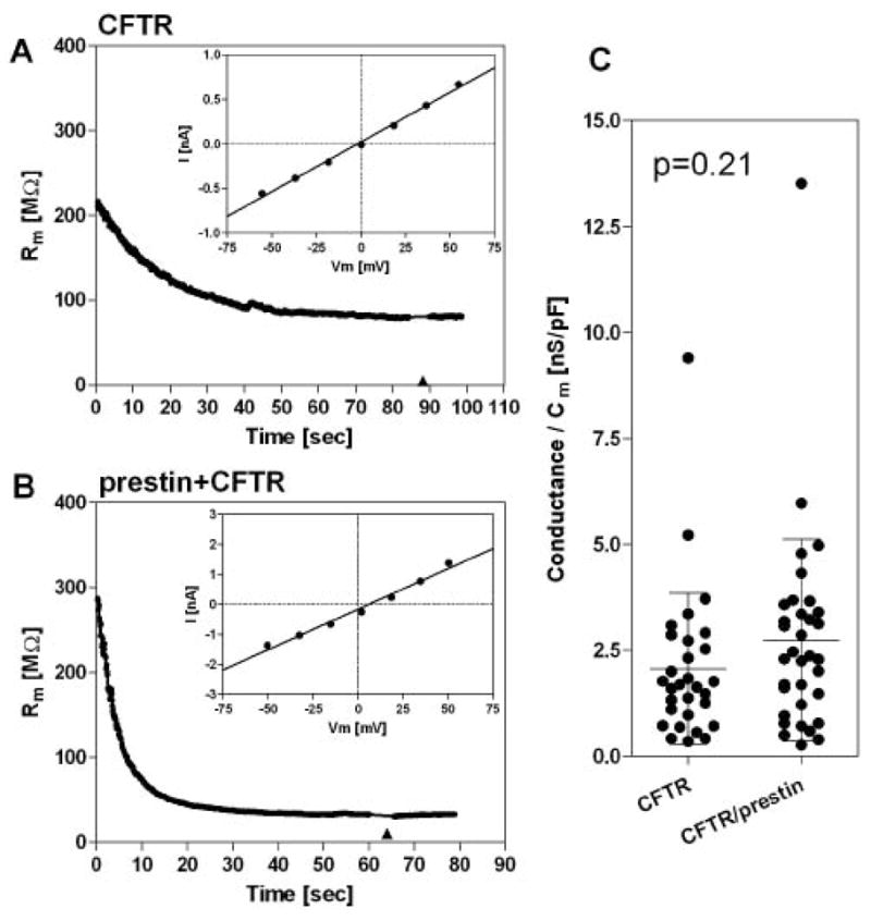 Fig. 9