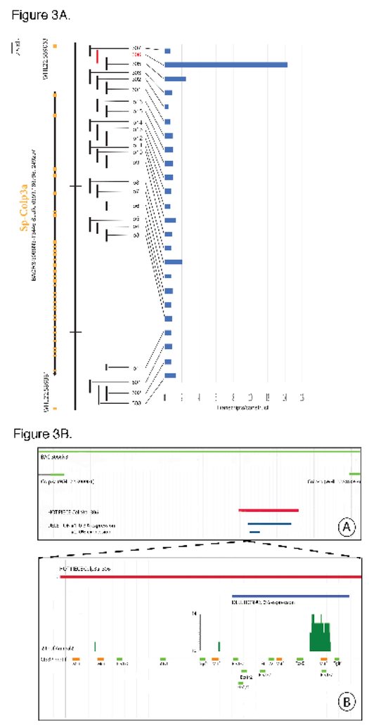 Fig.3.