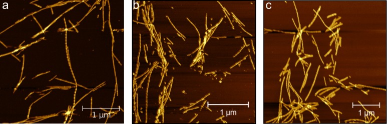 Figure 4—figure supplement 1.