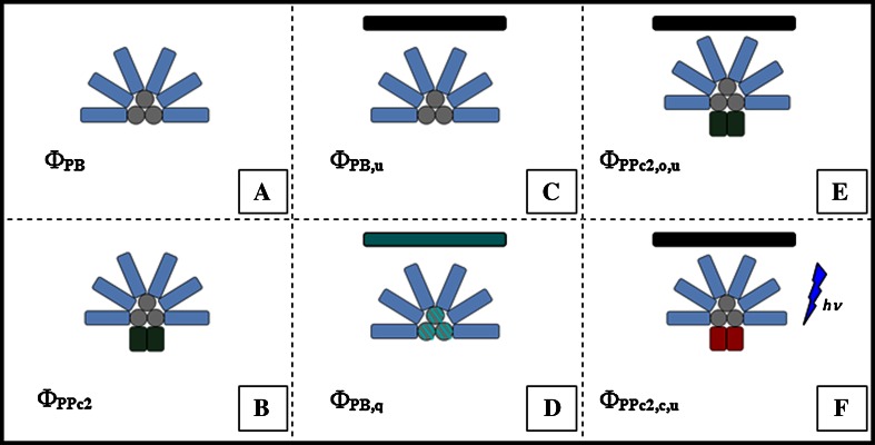 Fig. 2