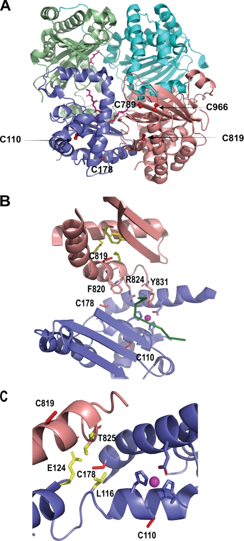 FIGURE 7.