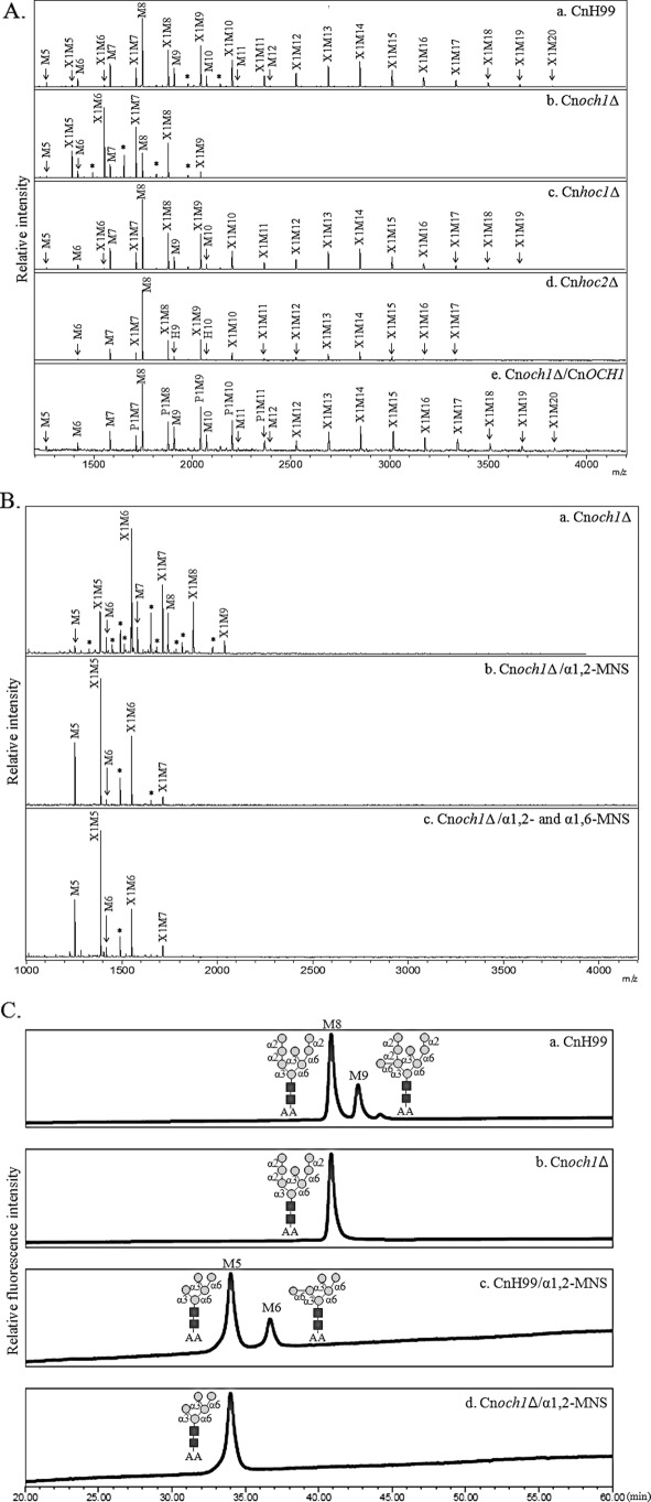 FIGURE 4.