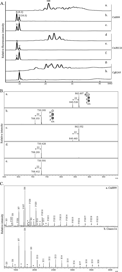 FIGURE 3.