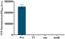 Figure 5—figure supplement 2.