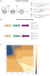 Figure 1—figure supplement 1.