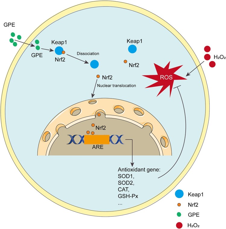 Figure 6.