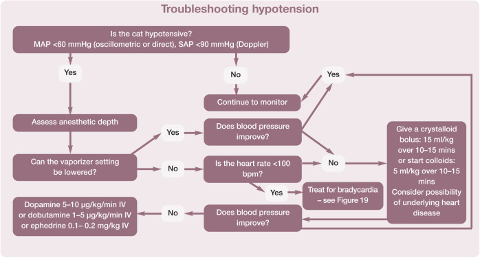 Figure 22