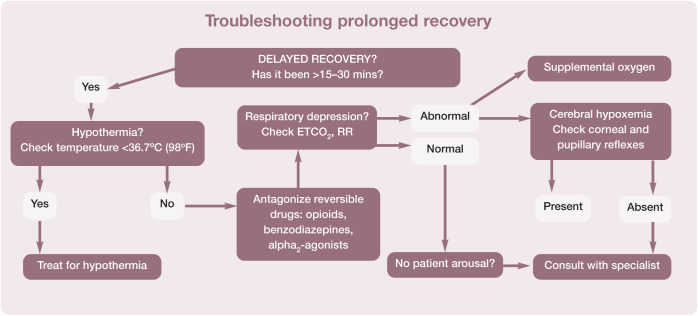 Figure 26