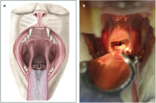 Figure 13