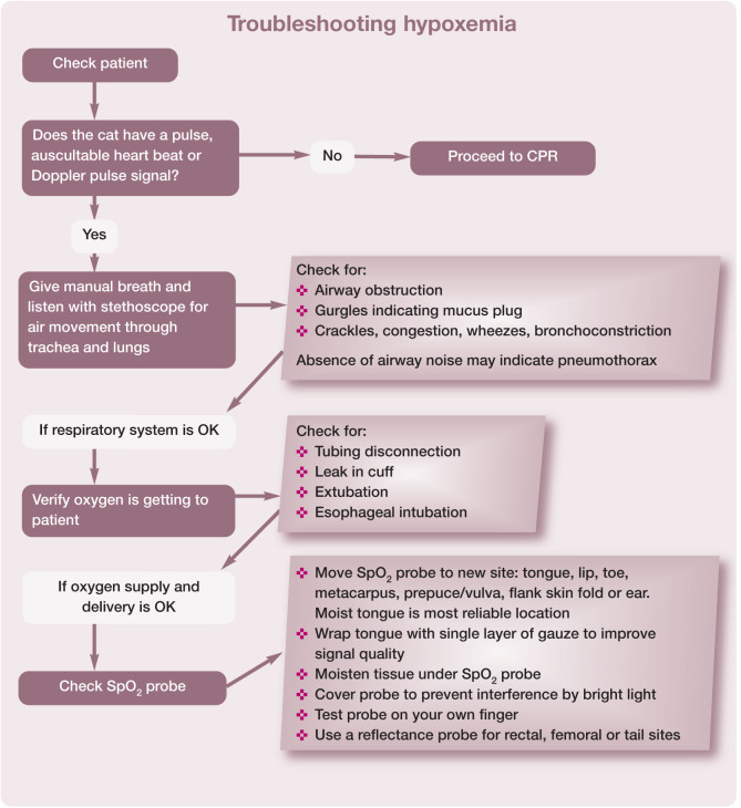 Figure 23