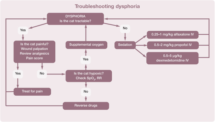 Figure 27