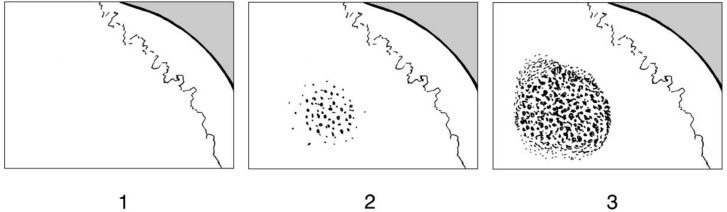 Fig. 2: