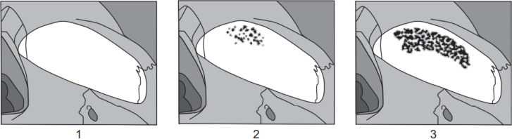 Fig. 1: