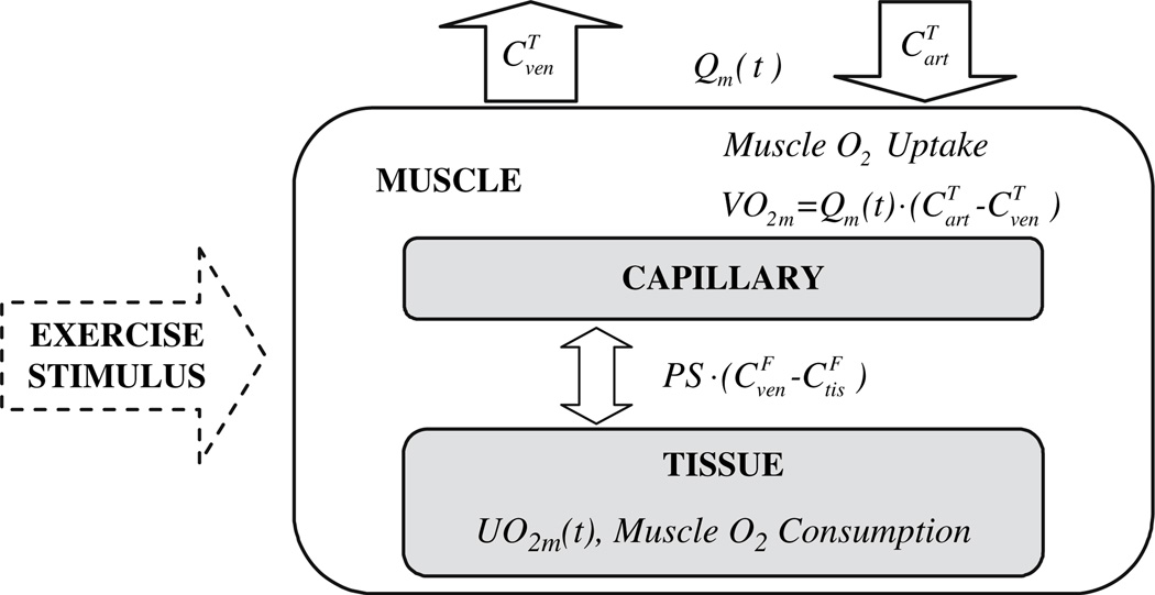 Fig. 36.1