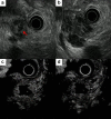 Fig. 3