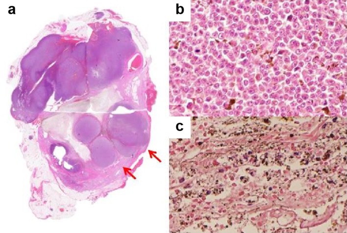 Fig. 7