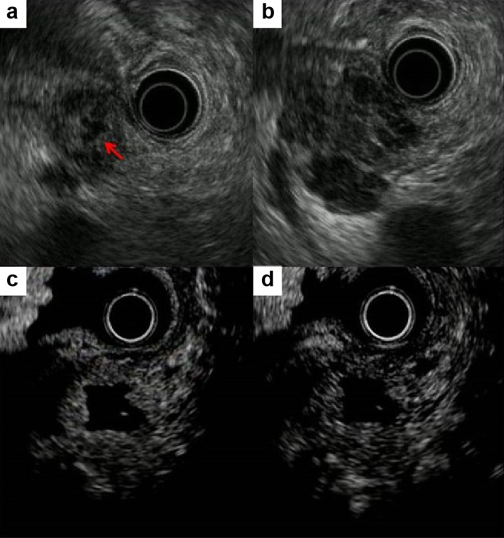 Fig. 3