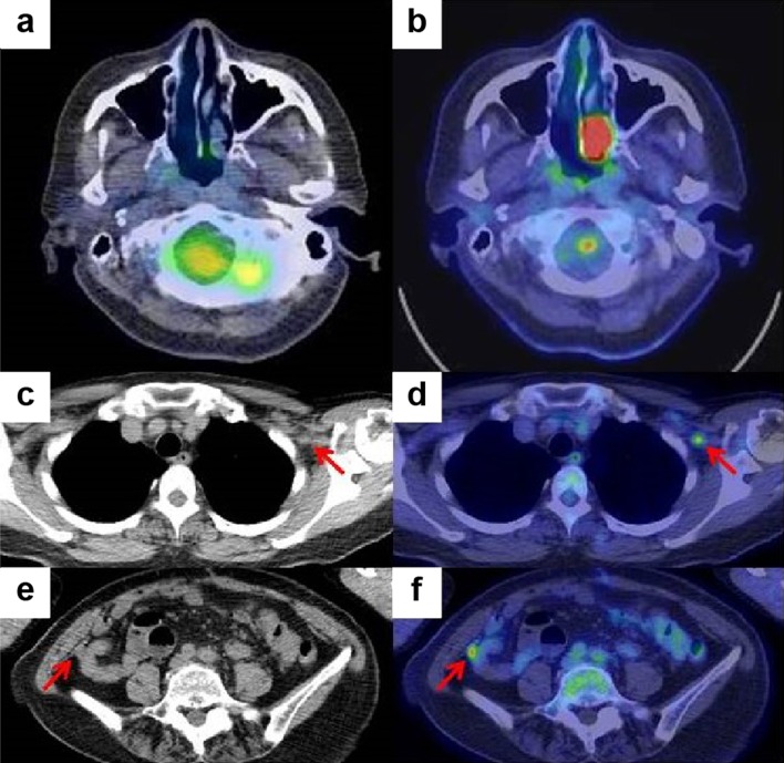 Fig. 8