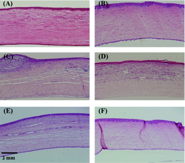 Fig. 9