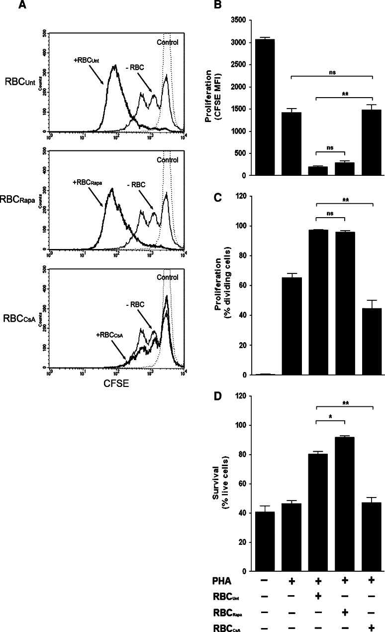 Fig. 8