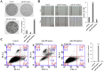 Supplementary Fig. S1