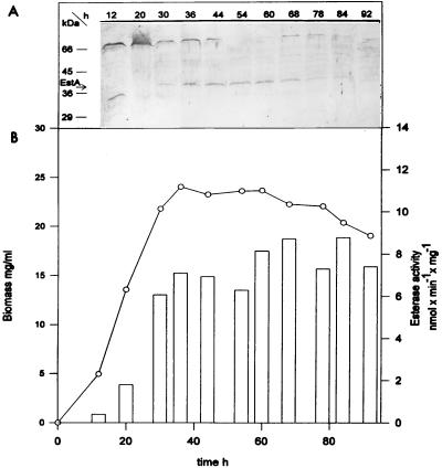 FIG. 5