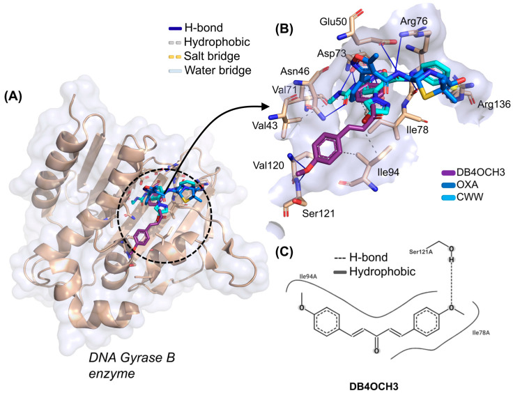 Figure 7