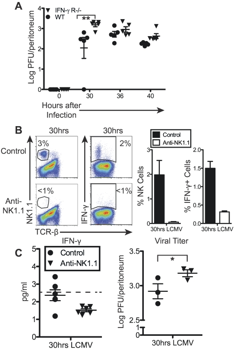 FIG 6 