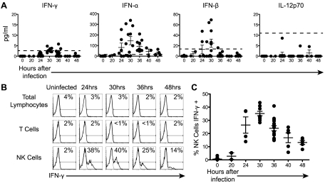 FIG 1 