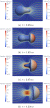 Figure 5: