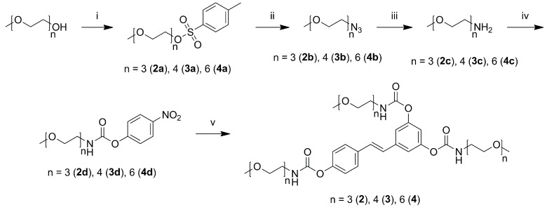 Scheme 2