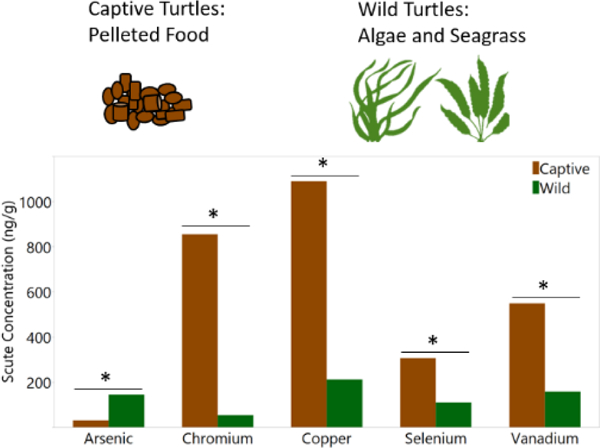 graphic file with name nihms-1701359-f0001.jpg