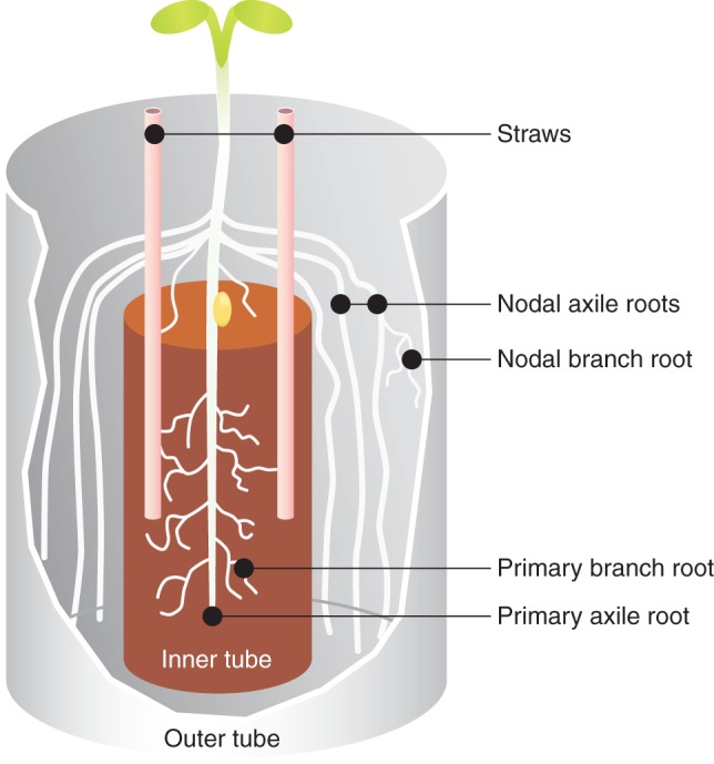 Fig. 1.