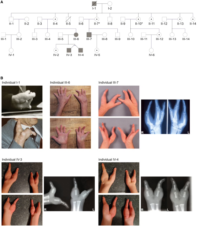 Figure 1