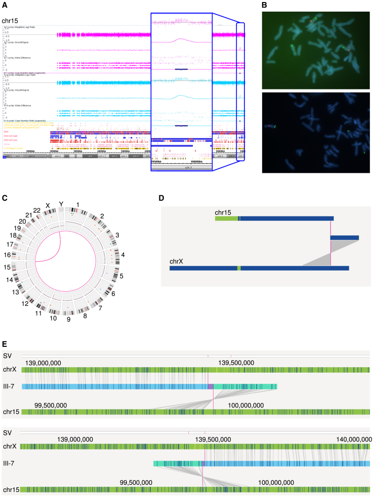 Figure 2