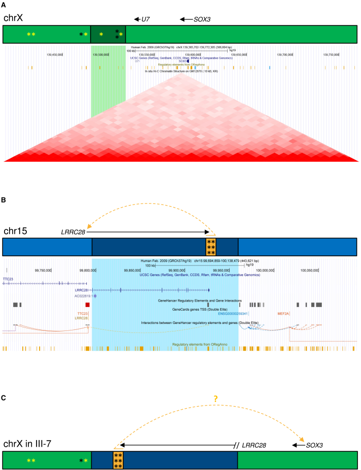 Figure 5