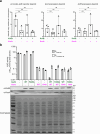 Extended Data Fig. 8