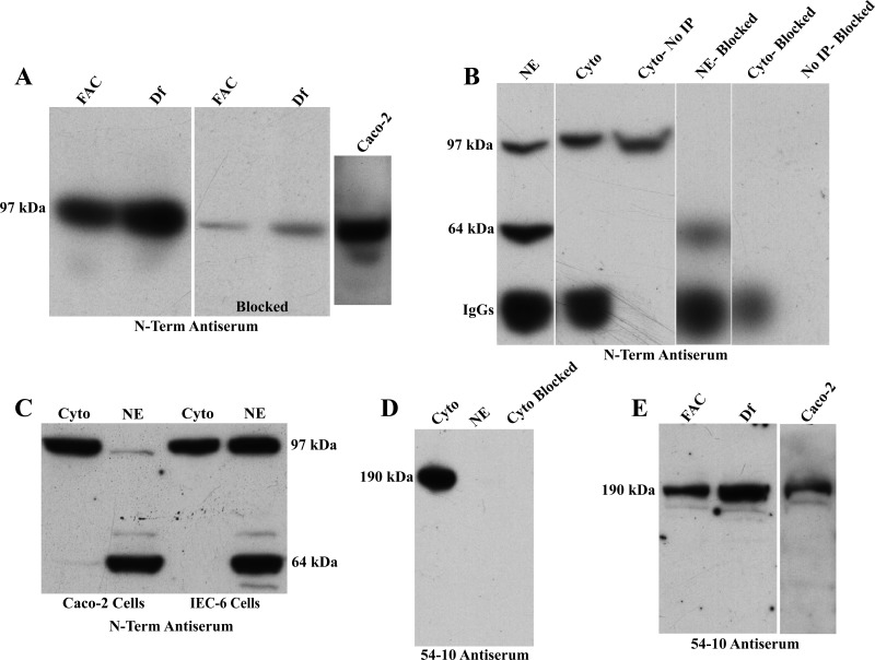 Fig. 10.