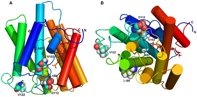 Figure 7