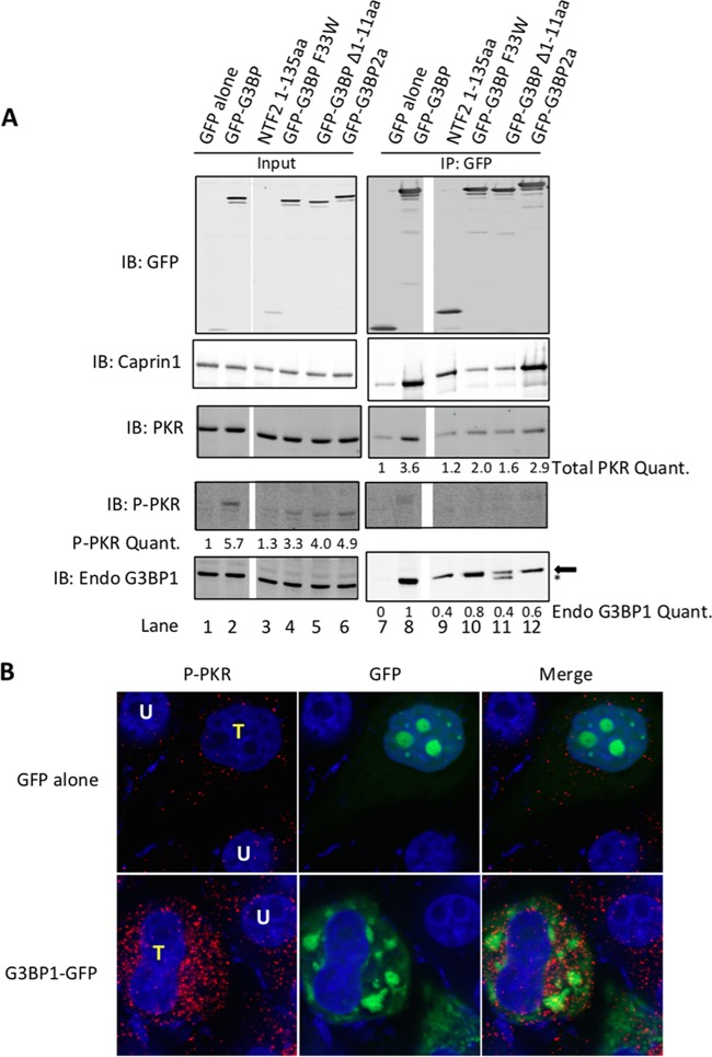 FIG 4 