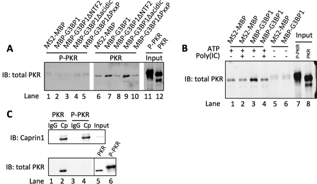 FIG 2 