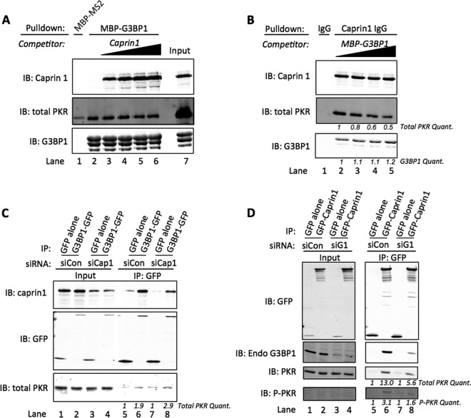 FIG 3 