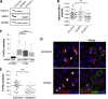 FIG 6